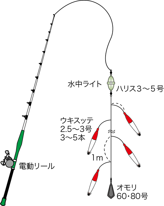 四季の釣り 釣り船福丸 福井 小浜新港 釣り船 海釣り マイカ ヤリイカ タルイカ ヤリイカ イカメタル スッテ