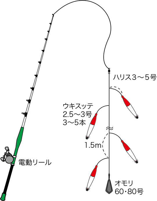 四季の釣り 釣り船福丸 福井 小浜新港 釣り船 海釣り マイカ ヤリイカ タルイカ ヤリイカ イカメタル スッテ