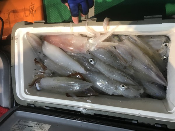 釣果写真