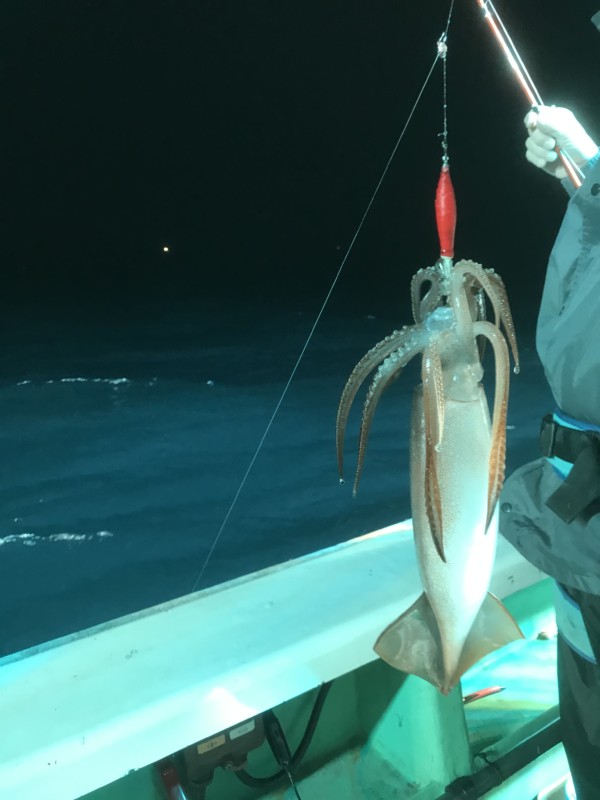 釣果写真