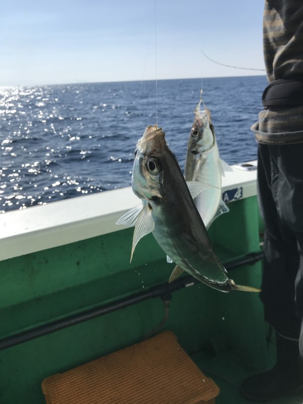 釣果写真