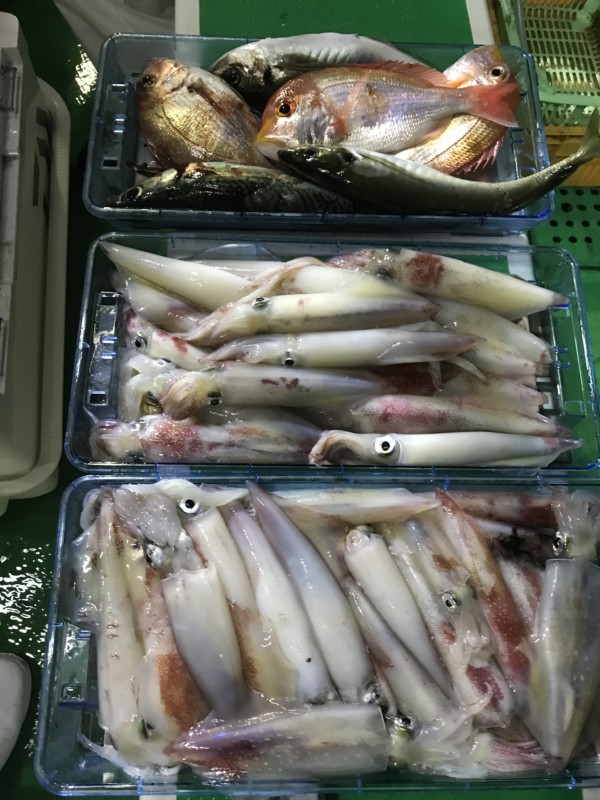 釣果写真