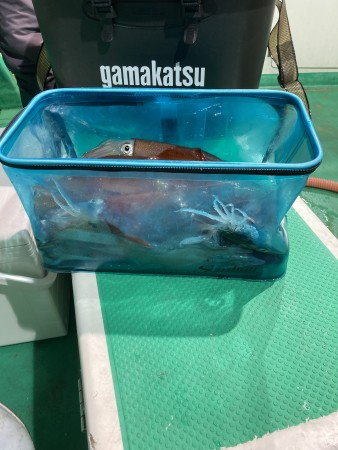 釣果写真