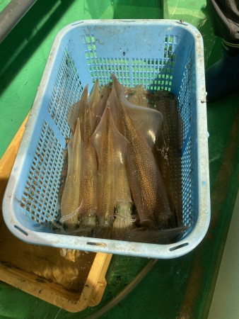 釣果写真