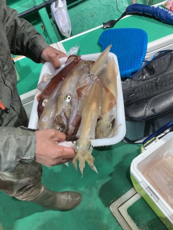 釣果写真