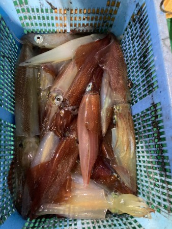 釣果写真