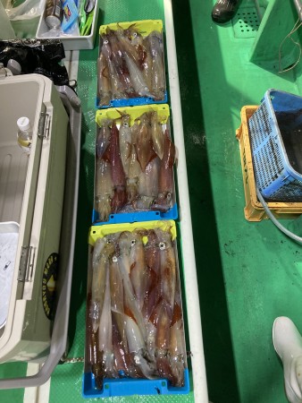 釣果写真