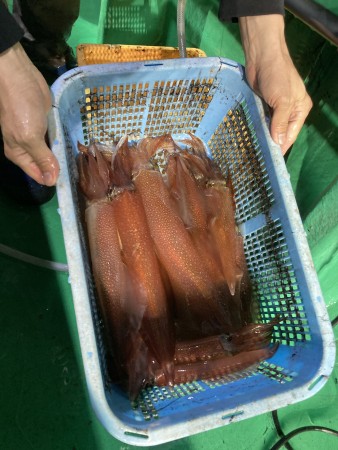 釣果写真