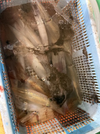 釣果写真