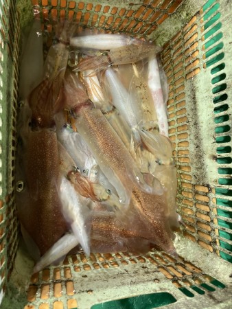 釣果写真