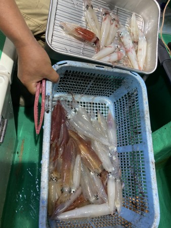 釣果写真