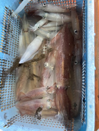 釣果写真