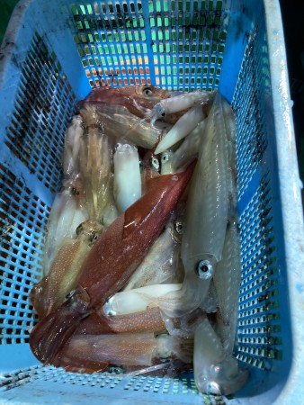 釣果写真