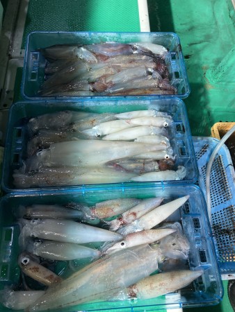 釣果写真