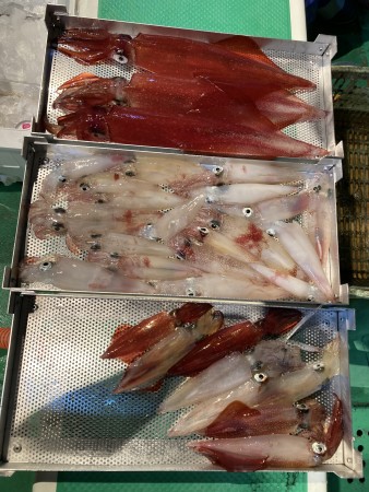 釣果写真