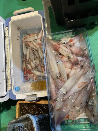 釣果写真