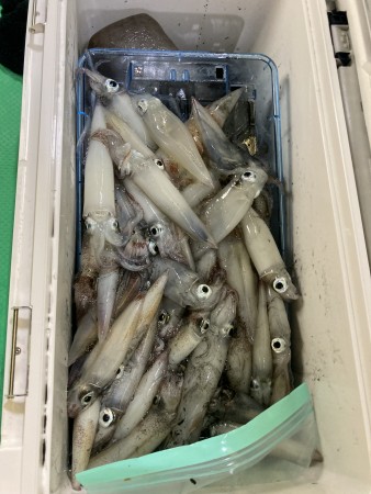 釣果写真