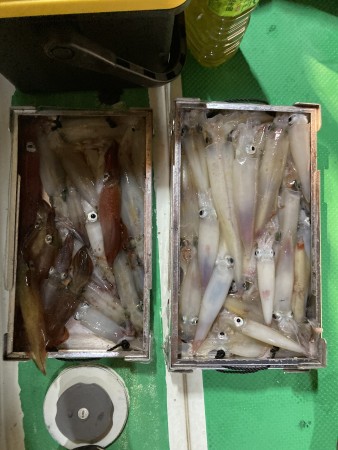 釣果写真