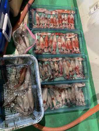 釣果写真