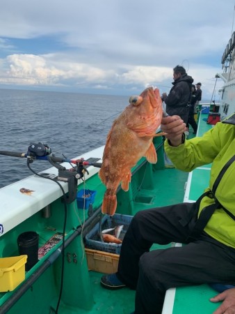 釣果写真