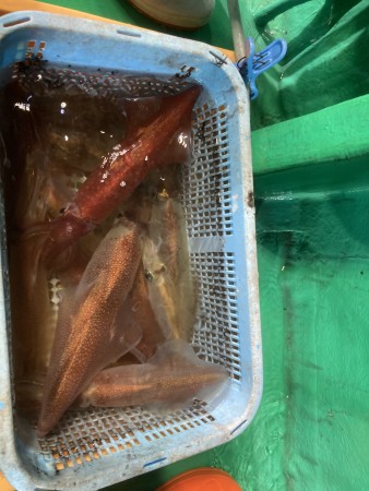 釣果写真