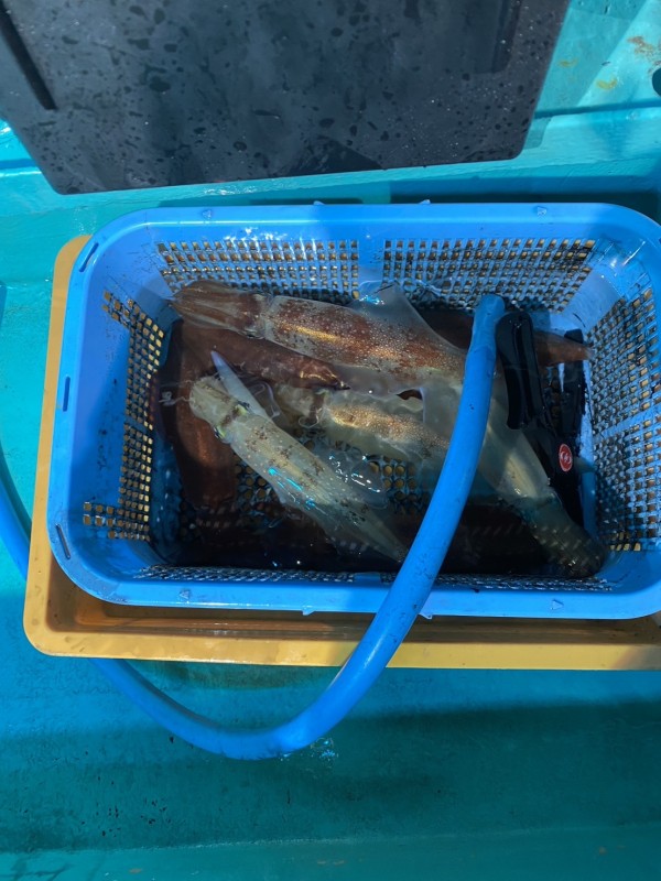 釣果写真