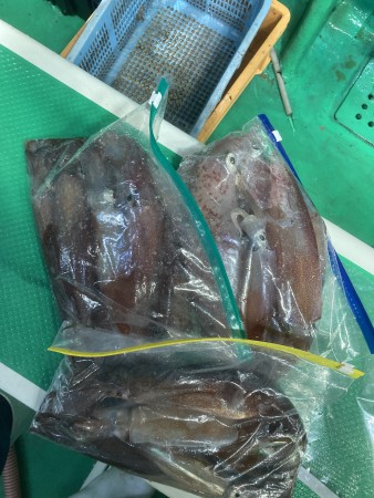 釣果写真