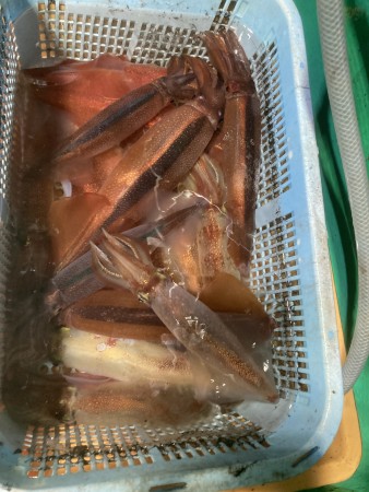 釣果写真