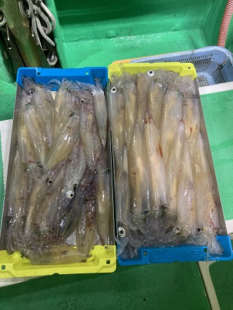 釣果写真