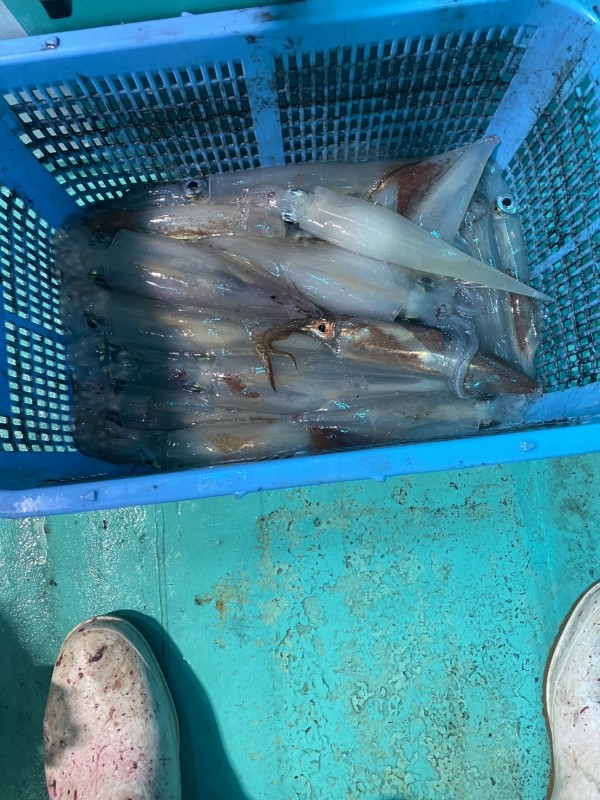 釣果写真