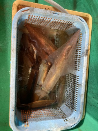 釣果写真