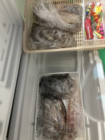 釣果写真