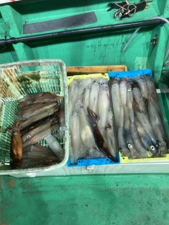 釣果写真