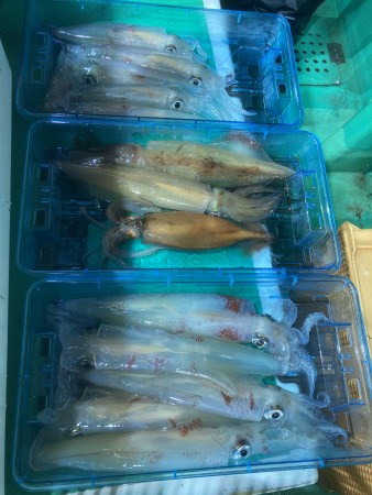 釣果写真
