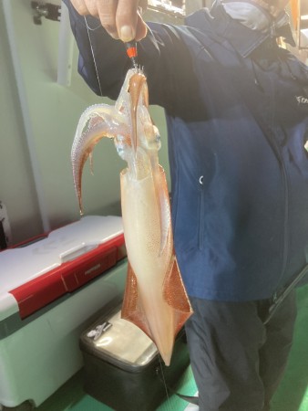 釣果写真