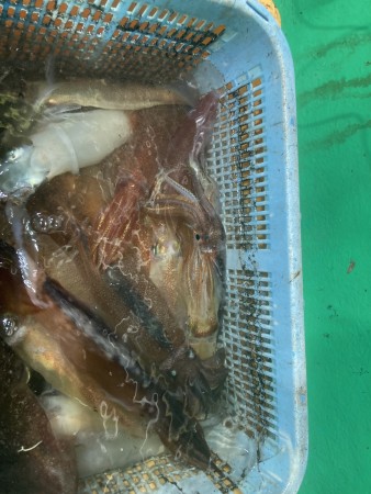釣果写真