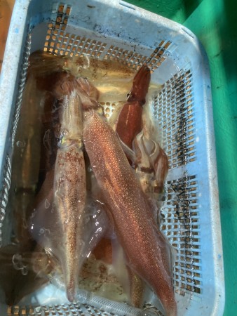 釣果写真