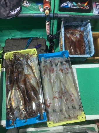 釣果写真