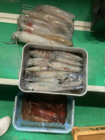 釣果写真