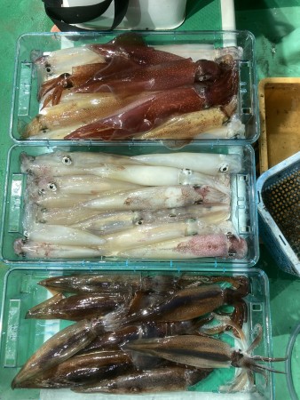 釣果写真