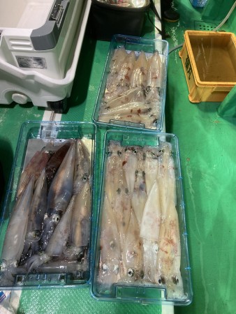 釣果写真