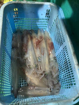 釣果写真