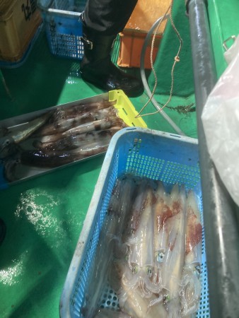釣果写真