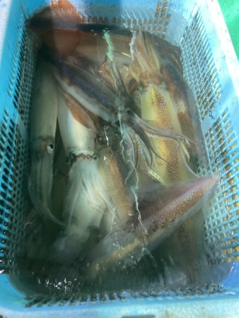 釣果写真