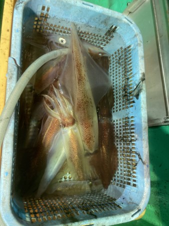 釣果写真