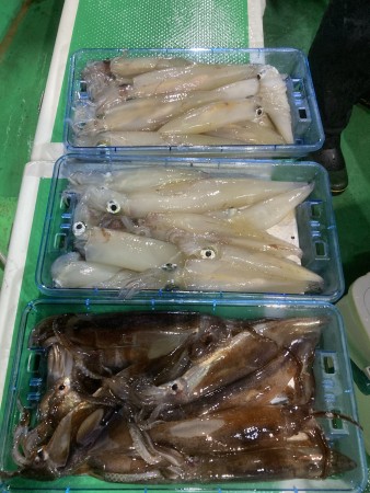 釣果写真