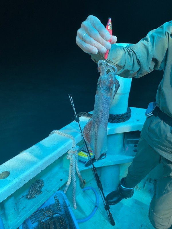 釣果写真