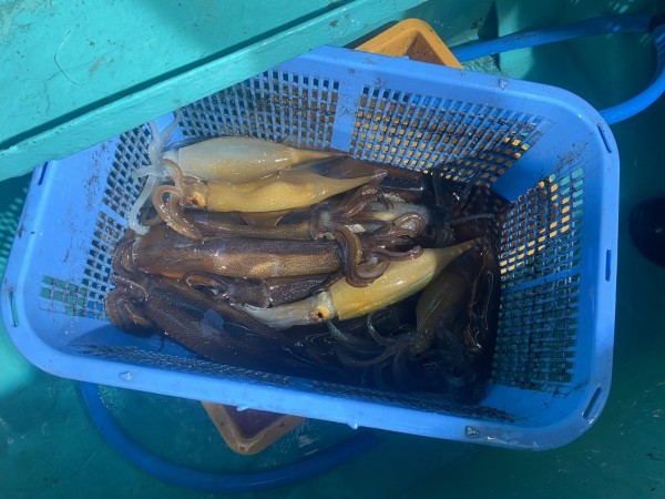 釣果写真