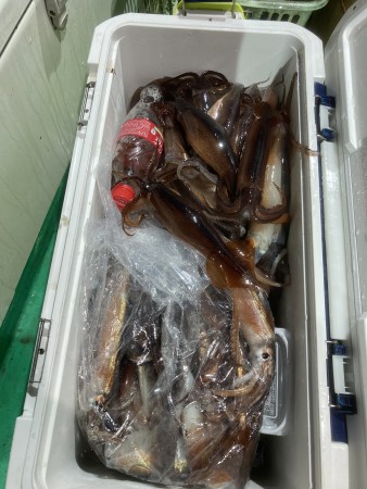 釣果写真