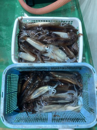 釣果写真